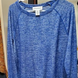 Cathy Daniel's Light Sweater